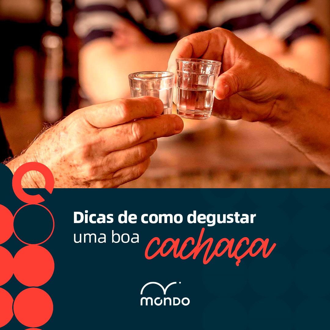 Desvendando os segredos da degustação de cachaça: guia completo para iniciantes e aficionados